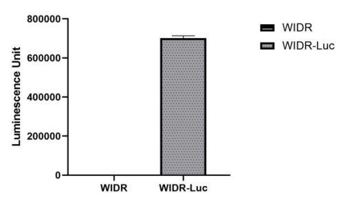 CBP300235L 信號(hào)